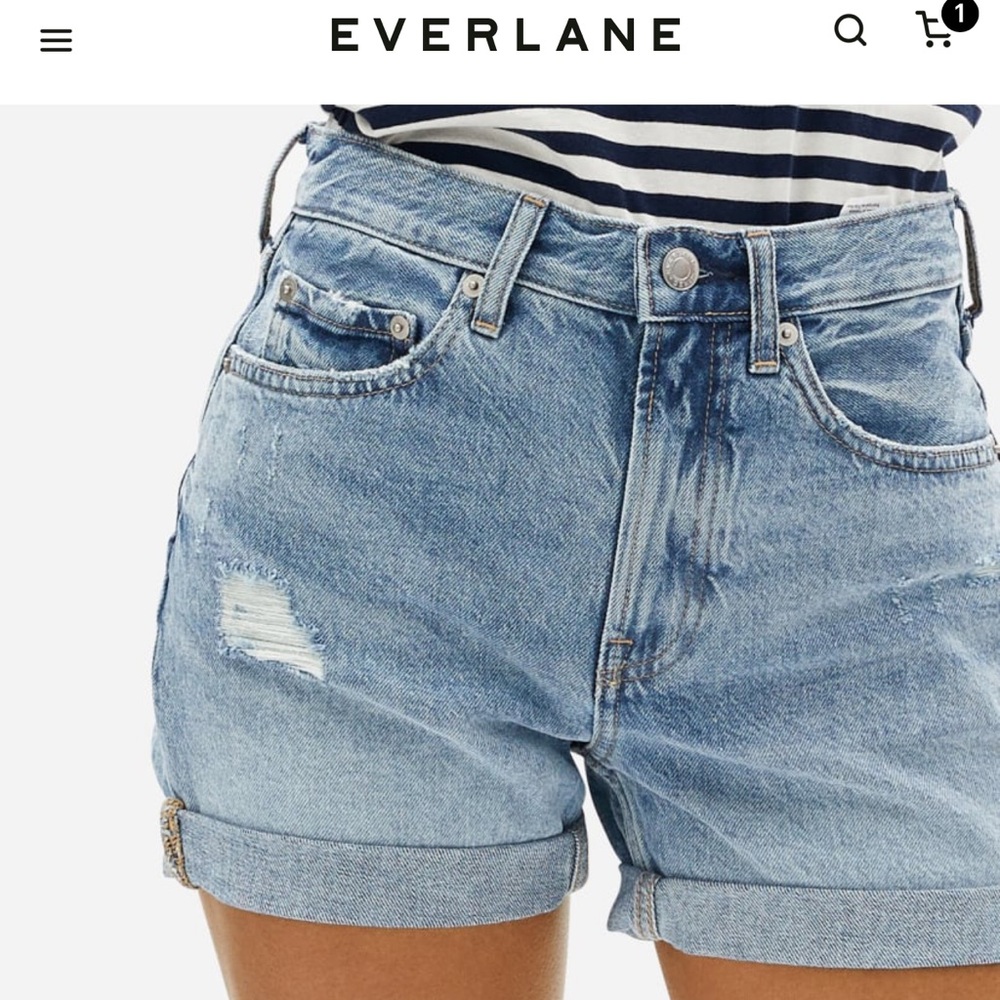 Everlane The Denim Shorts